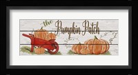 Pumpkin Patch-A Fine Art Print