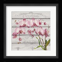 Pink Orchids Fine Art Print