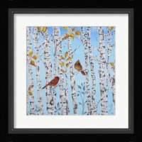 Cardinals Among The Birch  -  A Framed Print