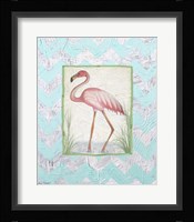 Flamingo Fine Art Print