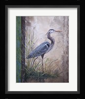 In The Reeds - Blue Heron Fine Art Print