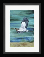 Great Blue - Heron - 3 Fine Art Print