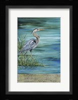 Great Blue - Heron - 2 Fine Art Print