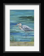Great Blue - Heron - 1 Framed Print