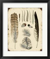 Vintage Feather Study - A Fine Art Print