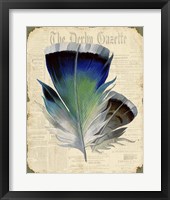 Elegant Feather - A Fine Art Print