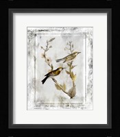Birds With Class - C Framed Print