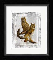 Birds With Class - E Framed Print