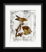 Birds With Class - F Framed Print