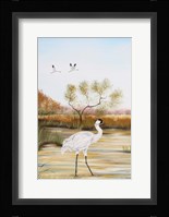 Whooping Cranes - B Fine Art Print