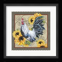 Country Time Rooster - C Fine Art Print