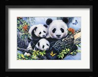 Lovely Pandas Fine Art Print