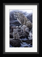 Mother & Cubs Fine Art Print