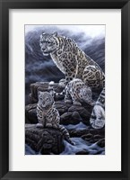 Mother & Cubs Fine Art Print