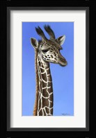 Masai Youth Fine Art Print