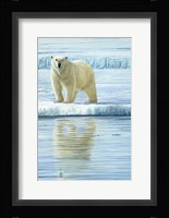 Curious Bear Photo Fine Art Print
