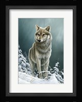 Wolf On The Ridge Fine Art Print