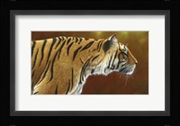 Tense Tiger Fine Art Print