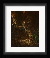 Tiger Odyssey Fine Art Print