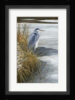 Winter Heron Fine Art Print