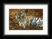 Tiger Cub Fine Art Print