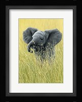 Elephant In The Grass Fine Art Print
