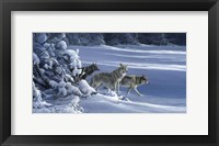 The Strength Of The Wolf Is The Pack Fine Art Print