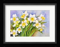 Daffodil Cluster Fine Art Print