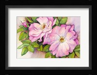 Wild Roses Framed Print