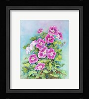 Hot Pink Blush Geraniums Fine Art Print
