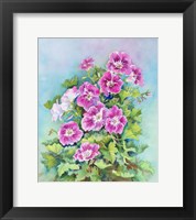 Hot Pink Blush Geraniums Fine Art Print