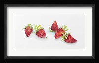 Strawberry Patch - C. Ripe Berries Whole Framed Print