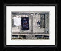 A Contrast of Values Fine Art Print