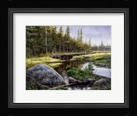 Adarondack Gold Fine Art Print