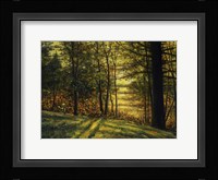 Autumn Light Fine Art Print