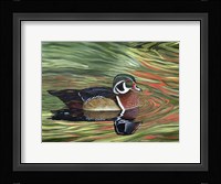 Autumn Rivals Fine Art Print