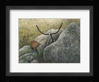 Between a Rock and a Hard Place Fine Art Print