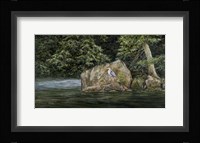 Black Watch Fine Art Print