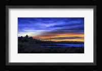 Blue Ribbon Fine Art Print