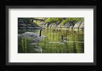 Border Patrol Fine Art Print