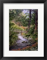 Crossings Framed Print