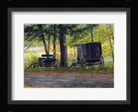 Days of Gold Fine Art Print