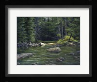 Forest River Fine Art Print