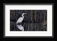 Is a Virtue Fine Art Print