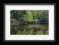 IVY BRIDGE Fine Art Print