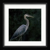 Night Stalker Fine Art Print