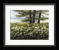 River Daiseys Fine Art Print