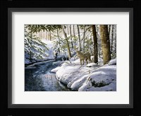 Spirit of the North Fine Art Print