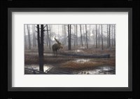 When God Dreams Fine Art Print