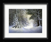 Winter Song Fine Art Print